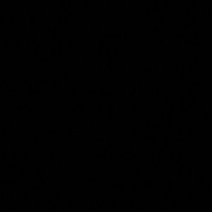 Meet your Posher, Victor